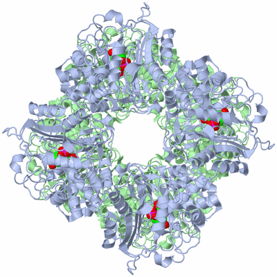 Image Biological Unit 1