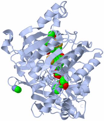 Image Biological Unit 1