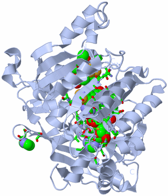 Image Biol. Unit 1 - sites