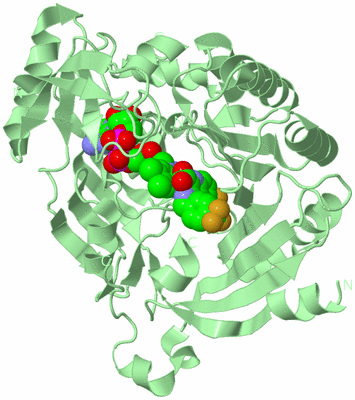 Image Biological Unit 2