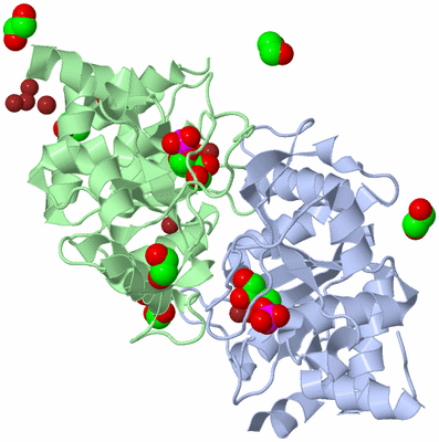 Image Asym./Biol. Unit