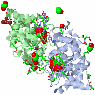 Image Asym./Biol. Unit - sites