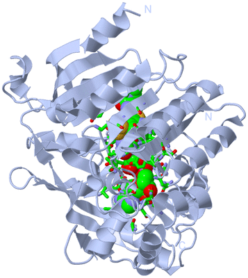 Image Biol. Unit 1 - sites