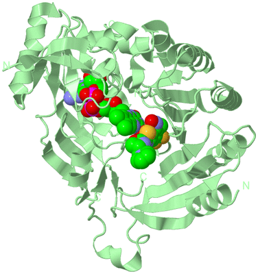 Image Biological Unit 2