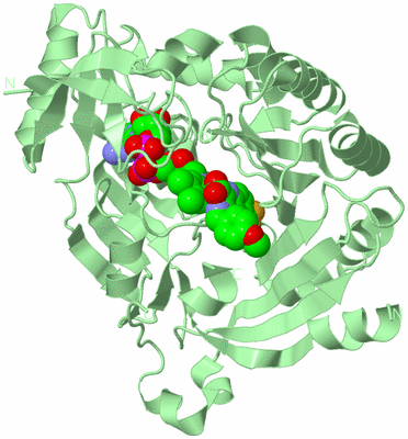 Image Biological Unit 2