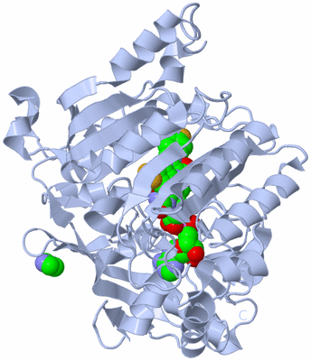 Image Biological Unit 1