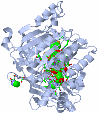 Image Biol. Unit 1 - sites