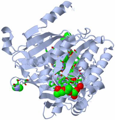 Image Biol. Unit 1 - sites