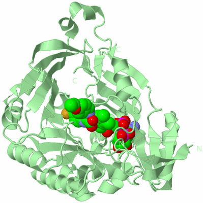 Image Biological Unit 2