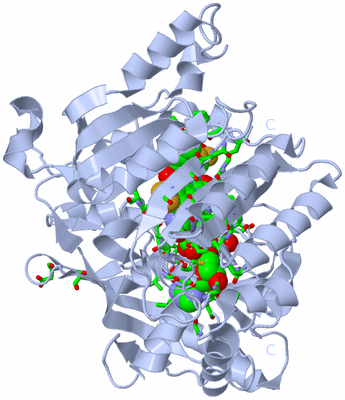 Image Biol. Unit 1 - sites