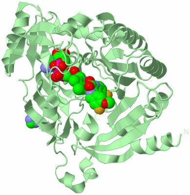 Image Biological Unit 2