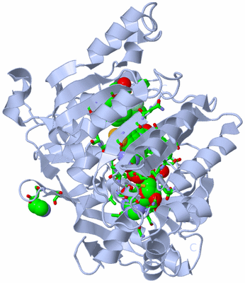 Image Biol. Unit 1 - sites