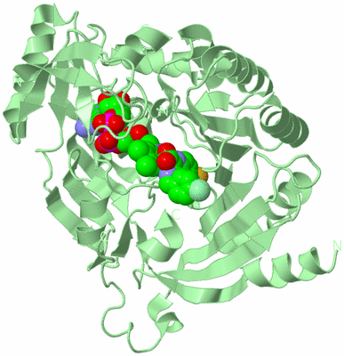 Image Biological Unit 2