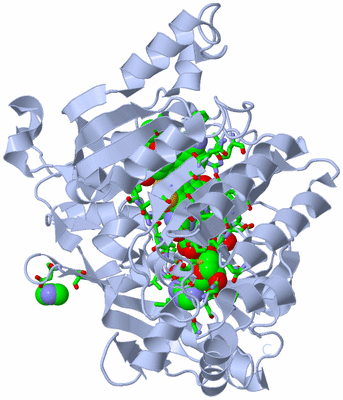 Image Biol. Unit 1 - sites