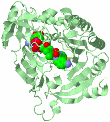 Image Biological Unit 2