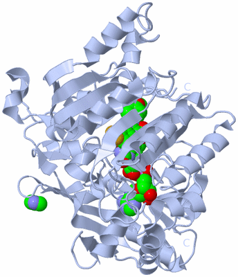 Image Biological Unit 1