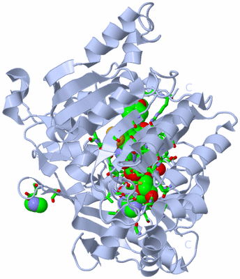 Image Biol. Unit 1 - sites