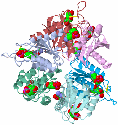 Image Biological Unit 1