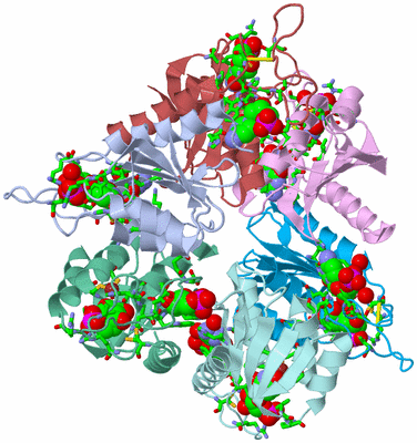 Image Biol. Unit 1 - sites