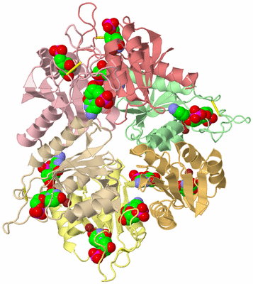 Image Biological Unit 2