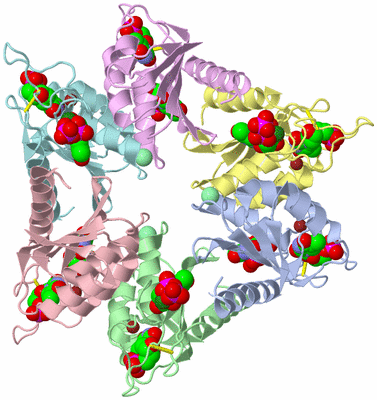 Image Asym./Biol. Unit