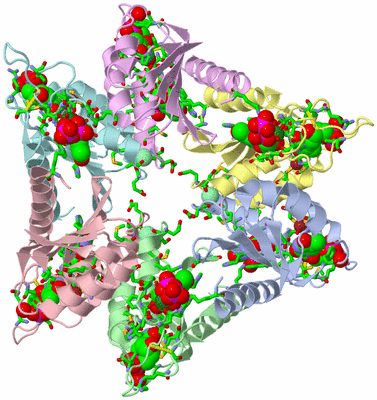 Image Asym./Biol. Unit - sites