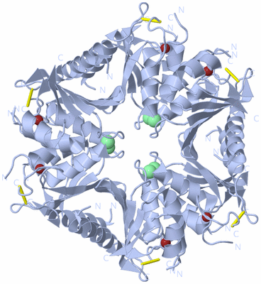 Image Biological Unit 1