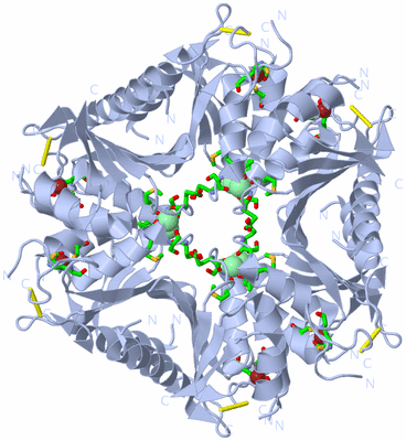 Image Biol. Unit 1 - sites