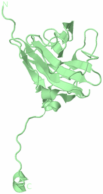 Image Biological Unit 3