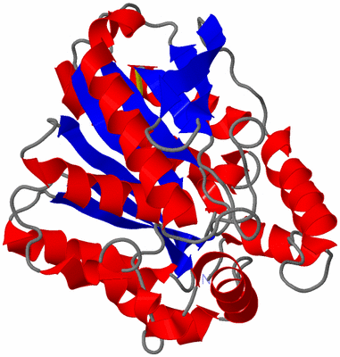 Image Asymmetric Unit