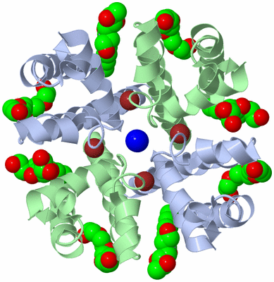 Image Biological Unit 1