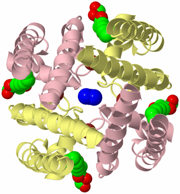 Image Biological Unit 2