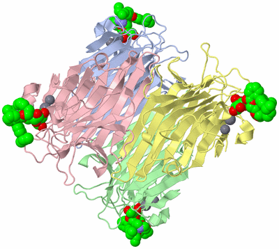 Image Asym./Biol. Unit