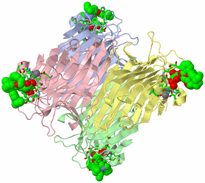 Image Asym./Biol. Unit - sites