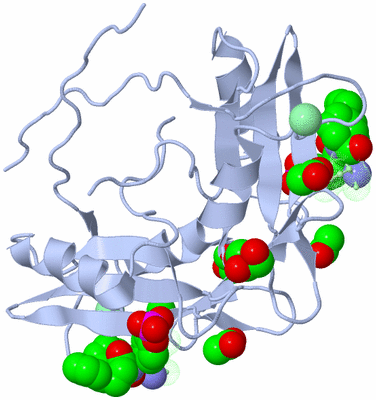 Image Biological Unit 2