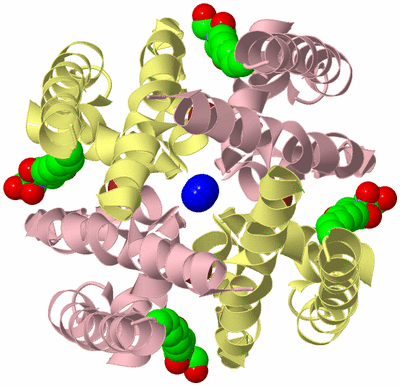 Image Biological Unit 2