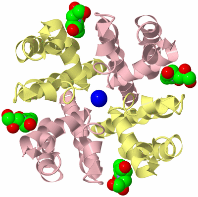 Image Biological Unit 2