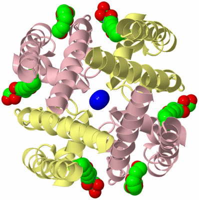 Image Biological Unit 2