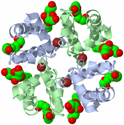 Image Biological Unit 1