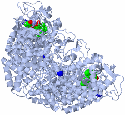 Image Biological Unit 1