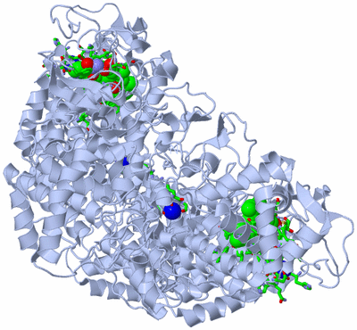 Image Biol. Unit 1 - sites