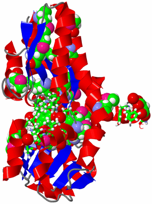 Image Asym./Biol. Unit - sites