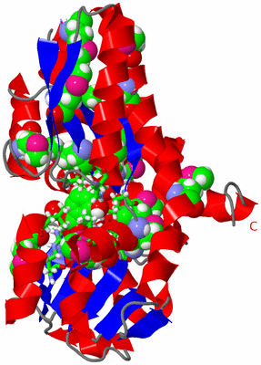 Image Asym./Biol. Unit - sites