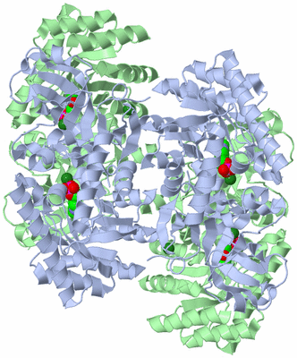 Image Biological Unit 2