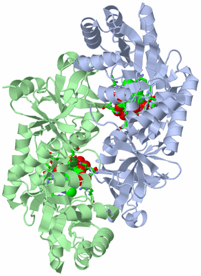 Image Asym./Biol. Unit - sites