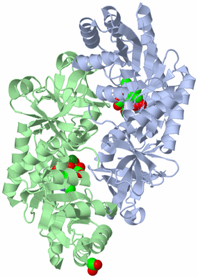 Image Asym./Biol. Unit