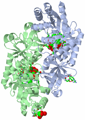 Image Asym./Biol. Unit - sites