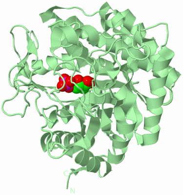 Image Biological Unit 2