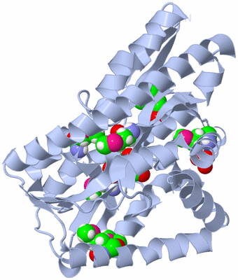 Image Biological Unit 1