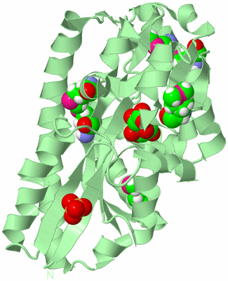 Image Biological Unit 2